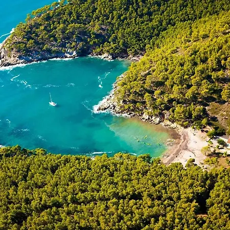 Lejlighed L'echappee Bleue *