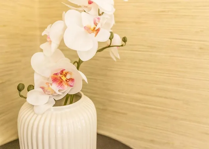 L'echappee Bleue サン・シル・シュル・メール